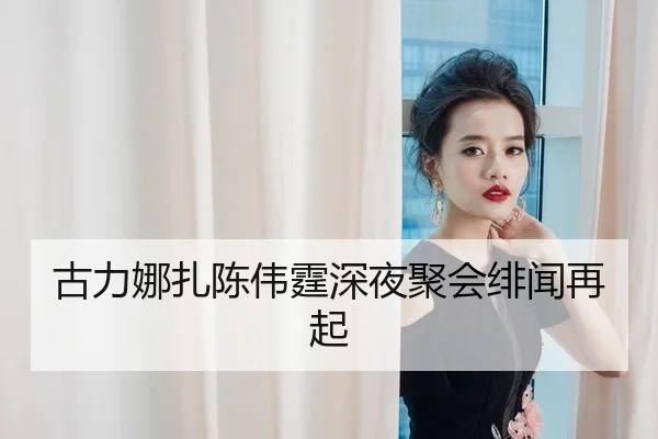 gu-li-na-zha-chen-wei-ting-shen-ye-ju-hui-fei-wen-zai-qi-2-469.jpg